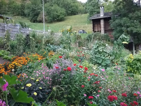 Chalet | Property grounds