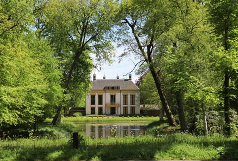 House | View from property