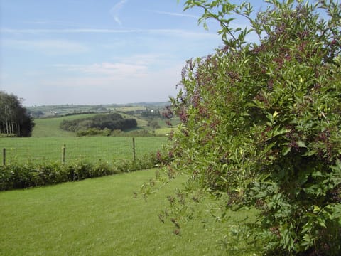 House | Garden