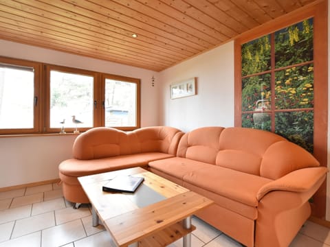 House | Living area