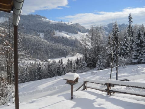 Chalet | View from property