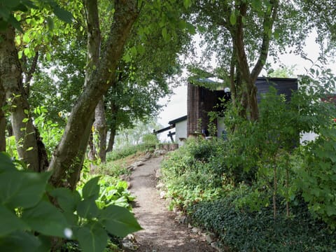 House | View from property