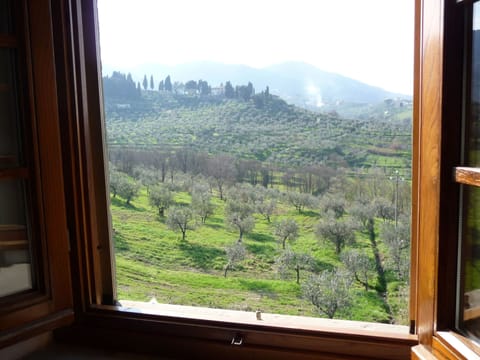 House | View from property