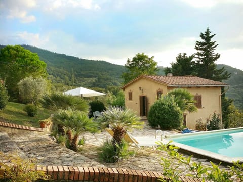 House | Pool | Indoor pool, outdoor pool