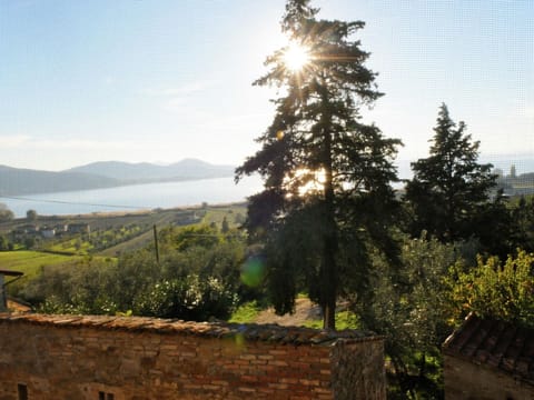 Cottage | View from property