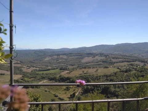 House | View from property