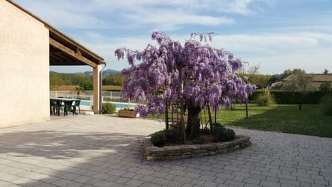 Villa | Garden
