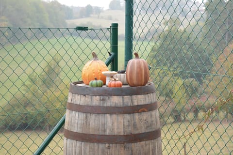 House | Interior detail