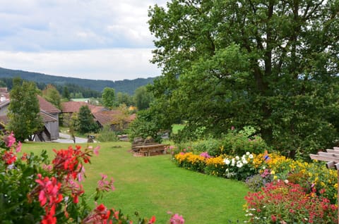 House | Garden