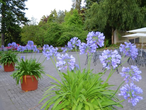 House | View from property