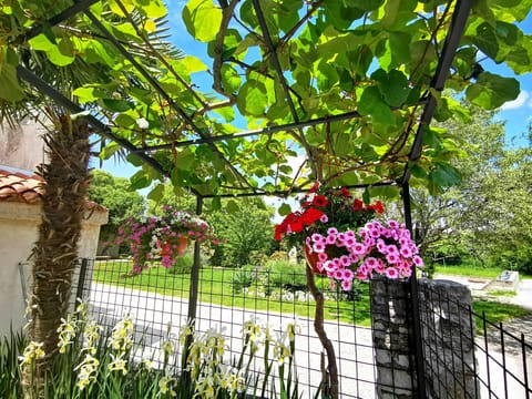 Standard Apartment, 2 Bedrooms (21495) | Garden view