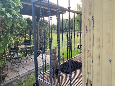 House | Terrace/patio