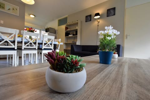 House | Interior detail