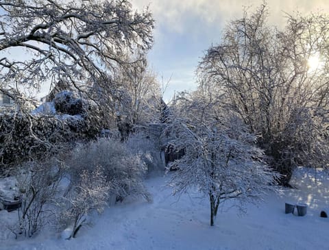 House | View from property