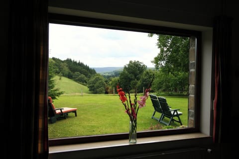 House | View from property