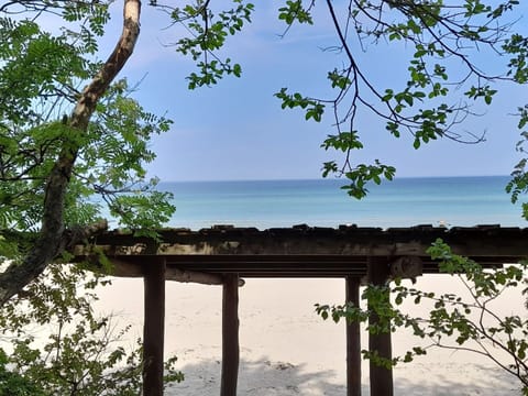 House | View from property