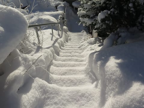 House | View from property