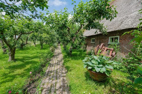 Apartment | Garden