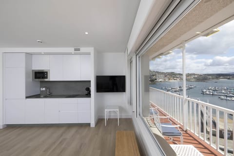 Apartment, Terrace | Private kitchen | Mini-fridge, microwave, stovetop, dishwasher