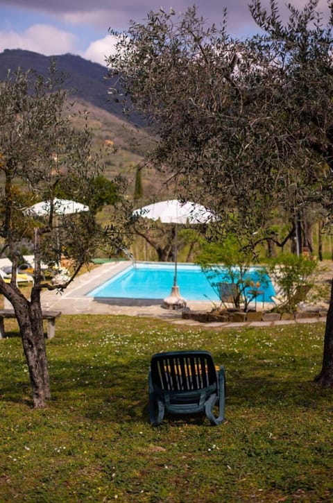 Plant, Furniture, Umbrella, Table, Tree, Shade, Natural Landscape, Outdoor Furniture, Rectangle, Swimming Pool