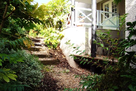 steps to back garden