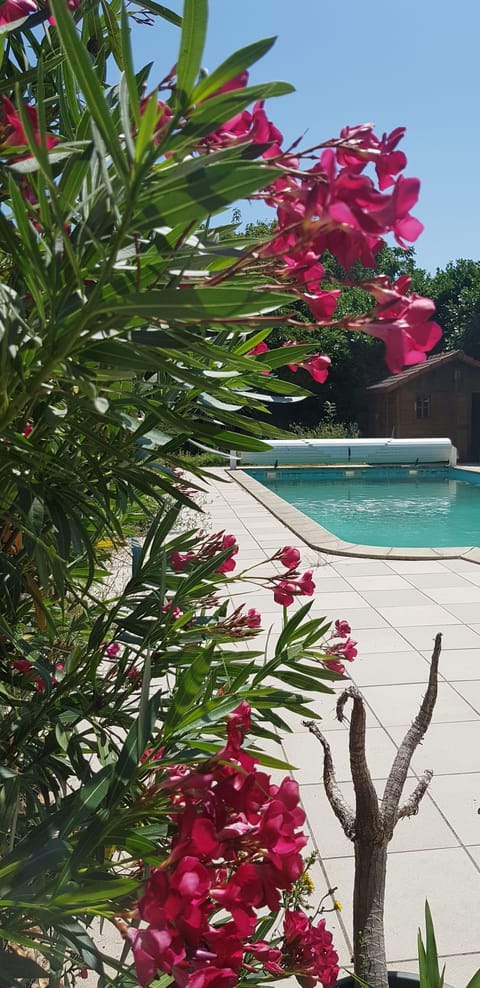 Seasonal outdoor pool, open 9:30 AM to 8:00 PM, sun loungers