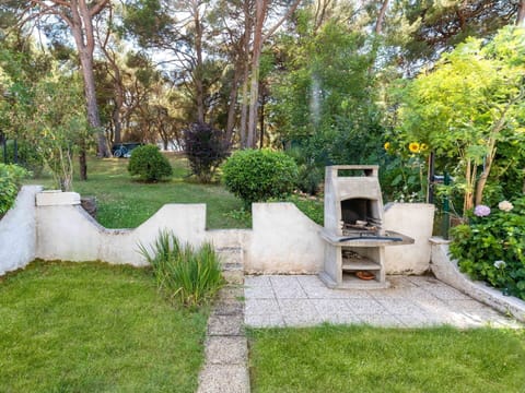 Plant, Plant Community, Botany, Tree, Land Lot, Grass, Landscape, Woody Plant, Groundcover, Shrub