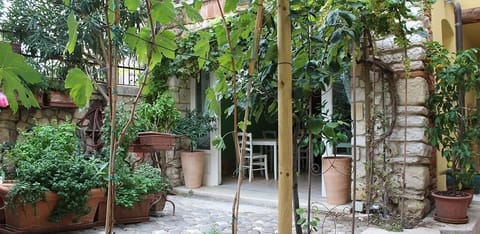 Courtyard