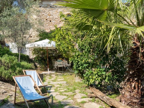 Plant, Property, Plant Community, Nature, Leaf, Shade, Outdoor Furniture, Tree, Grass, Terrestrial Plant