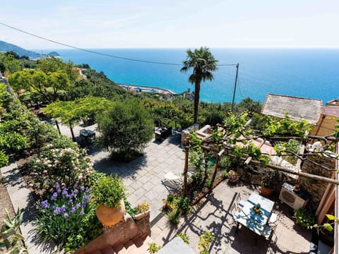 Green, Shrub, Flowerpot, Sea, Ocean, Garden, Coast, Resort, Houseplant