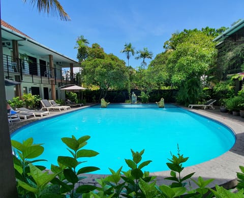Outdoor pool, pool umbrellas, sun loungers
