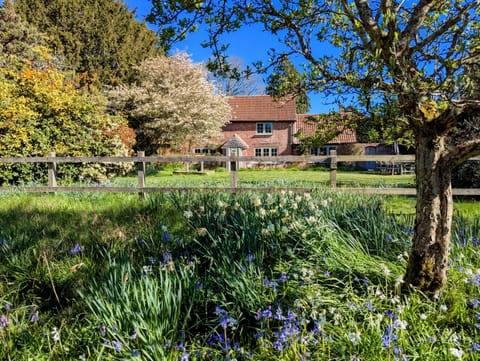 Spring has sprung at Evergreen, Bransgore