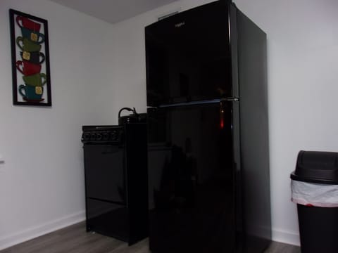 Electric stove and a refrigerator that has an ice maker.