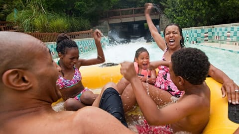 Busch Gardens. 383 acres of thrills and adventure - only 11 miles away.