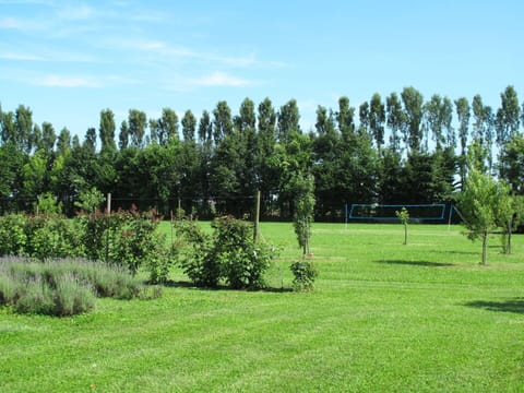 Plant, Sky, Cloud, Tree, Natural Landscape, Land Lot, Grass, Grassland, Plain, Groundcover