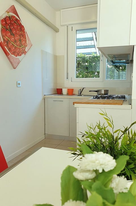 Kitchen Sink, Cabinetry, Property, Plant, Tap, Sink, Countertop, Plumbing Fixture, Green, Building