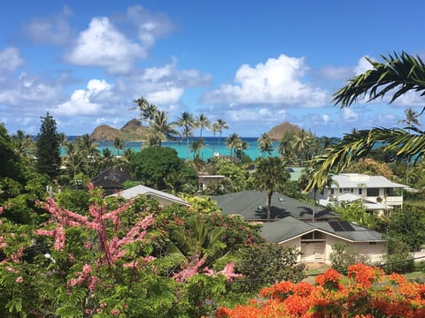 May photo is from level 2. Level 1 has more foliage but ocean can still be seen