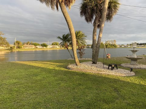 View of Swan Lake from our backyard