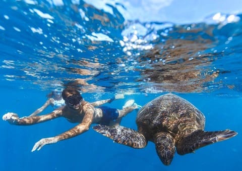 Vaima Studio - a modern Studio space just 12 steps to a stunning beach & lagoon!