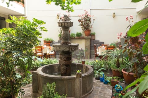 Single Room | Garden view