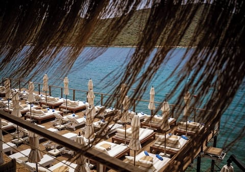 Private beach, snorkeling, beach bar, fishing