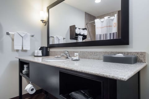 Combined shower/tub, free toiletries, hair dryer, towels