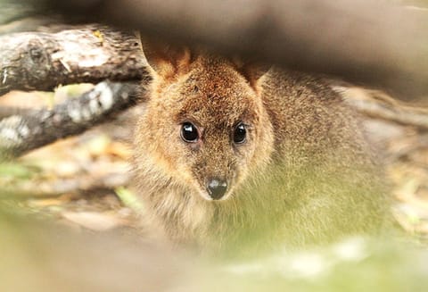 Land view from property