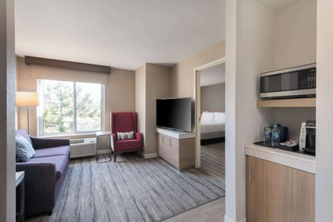 Suite, 1 King Bed | Living area | Flat-screen TV