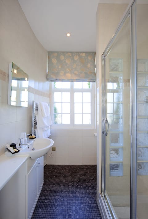 Single Room | Bathroom | Hair dryer, towels