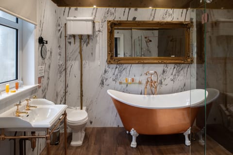 Combined shower/tub, free toiletries, hair dryer, towels