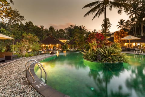 Outdoor pool, pool umbrellas, sun loungers