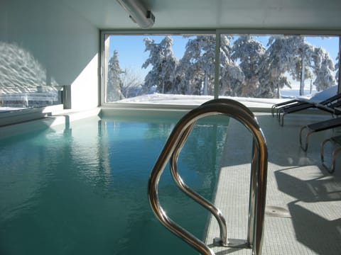 Indoor pool, sun loungers
