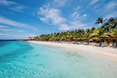 Private beach, sun loungers, beach umbrellas, beach towels