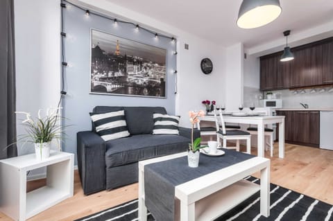 Living room with a comfy fold-out sofa bed, TV and kitchenette.